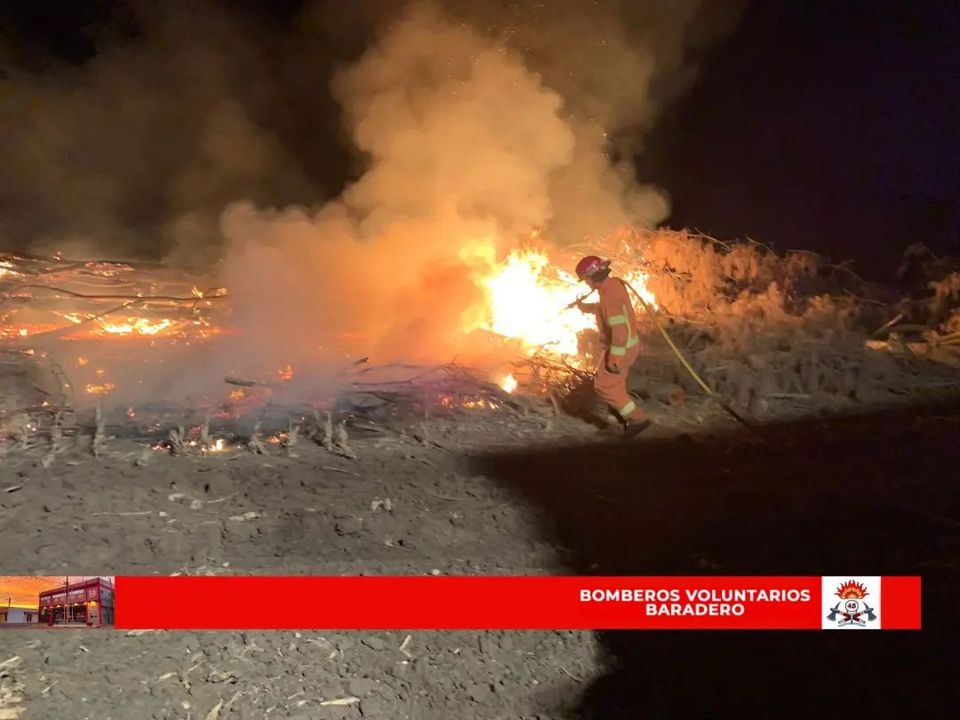 Incendio de troncos y resto de podas en un campo