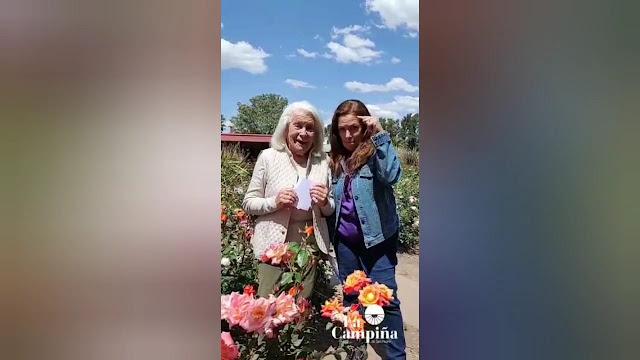 Sandra y Mónica proponen regalar rosas para el Día de la Madre (Video)