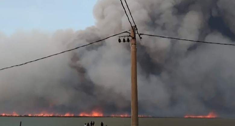 Un sistema frontal de viento reaviva los incendios en el Delta y pronostican más humo para el AMBA y alrededores