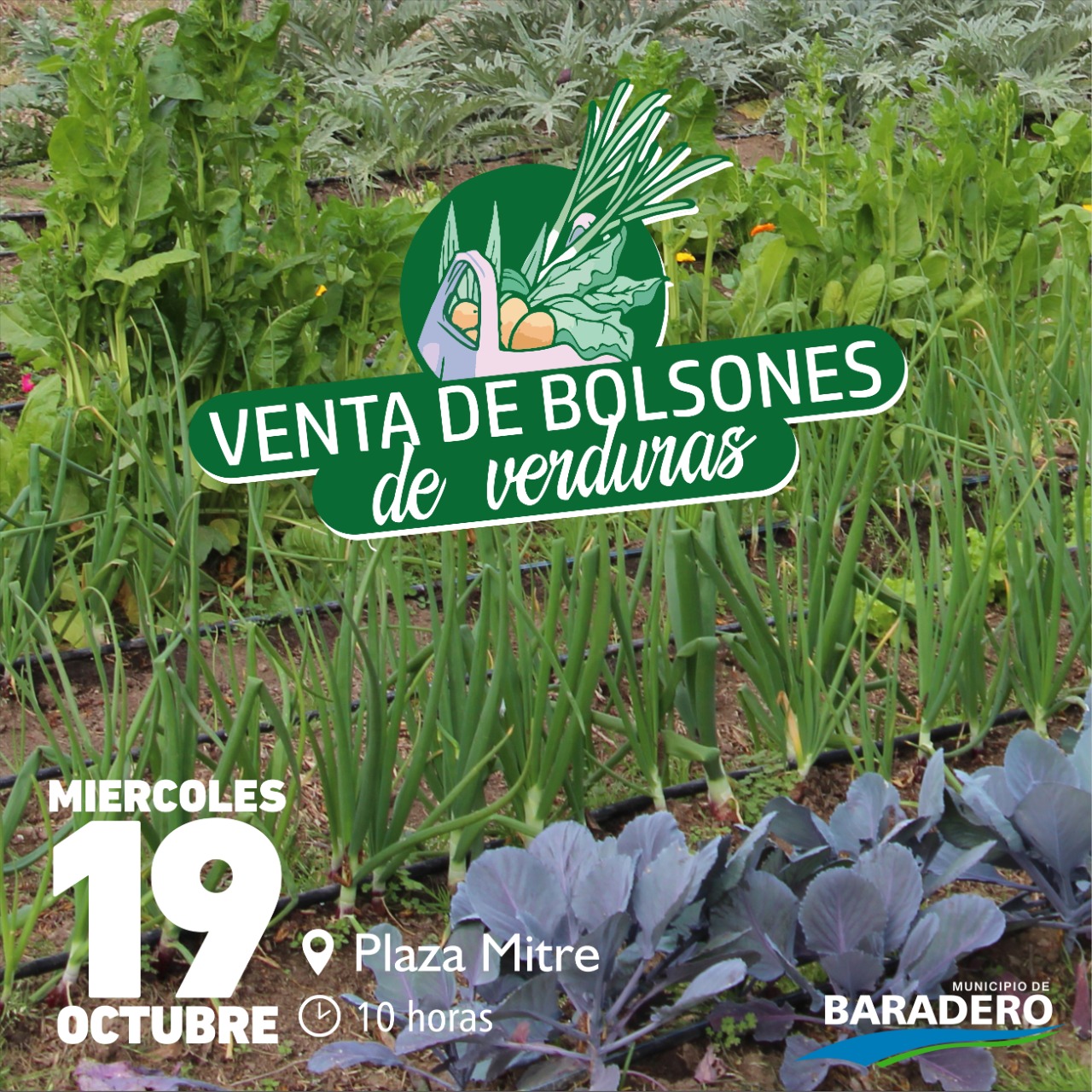 ¡Venta de bolsón de verduras saludable!