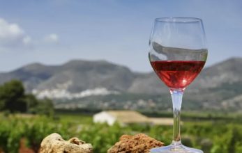 Día del vino argentino: por qué se celebra el 24 de noviembre y cuáles son los 3 que se sirven en el Mundial de Qatar