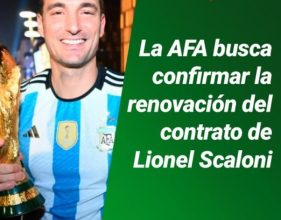 La AFA busca que el entrenador renueve el contrato y continúe hasta el Mundial de 2026