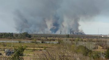 Procesan a detenidos en zona de San Pedro, acusados de haber iniciado fuego en las islas
