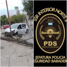 Choco contra un poste de luz