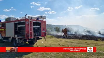 Labor de los Bomberos en el día de ayer ?