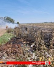 Bomberos Voluntarios