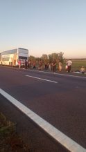 Choco un auto y un colectivo