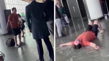 Una aerolínea perdió a cuatro perros y el dueño quebró en llanto