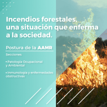 ‼️La problemática de la creciente cantidad de focos de incendios se reitera y Argentina se encuentra actualmente en situación de emergencia ígnea.