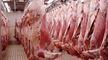 Carne, nuevo frente inflacionario: las medidas de Economía y expectativas sobre la evolución de los precios