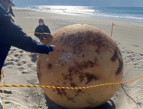 Revelaron más detalles de la bola gigante de hierro que apareció en una playa de Japón