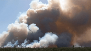 Brigadistas trabajan para controlar el fuego en islas frente a Baradero
