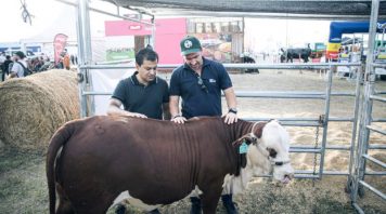 [Video] Empresa sampedrina exporta carne vacuna a Israel, Dubái y Arabia Saudita