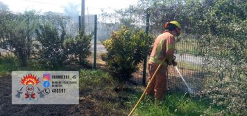 Incendio de pasto