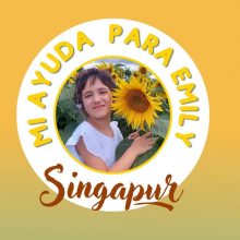 Hemos recibido el presupuesto del Hospital Womans and Childrens de Singapur.