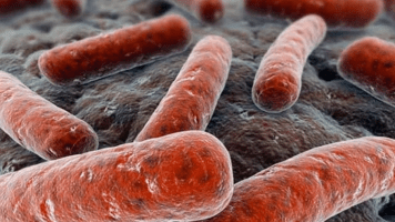 Día Mundial de la tuberculosis: más de 10.000 argentinos padecen una enfermedad prevenible con vacunas