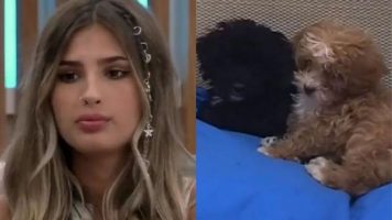La actitud de Julieta con los perritos que fue cuestionada en Gran Hermano 2022