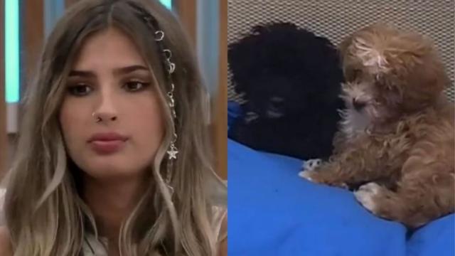 La actitud de Julieta con los perritos que fue cuestionada en Gran Hermano 2022