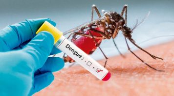 Detectan un caso de dengue en San Pedro