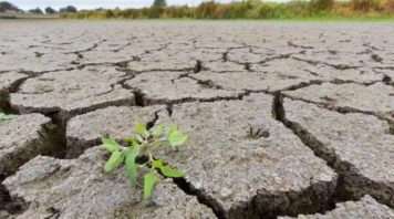 El Servicio Meteorológico Nacional anunció que el fenómeno La Niña llegó a su fin