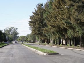 Esteban Sanzio: «La segunda etapa de calle Roca es una realidad»