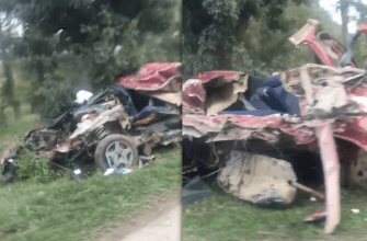 Trágico accidente en ruta 191: circulaba en un auto, chocó contra un árbol y murió