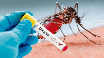 Al menos 25 muertes en todo el país: la radiografía del dengue en la Argentina
