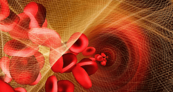 Día Mundial de la Hemofilia: a quiénes afecta esta rara enfermedad genética
