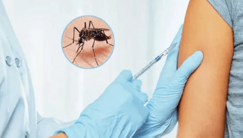 La ANMAT aprobó la vacuna contra el dengue: cuándo llegará al país y cómo será su aplicación