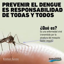 Entre todos podemos prevenir el dengue