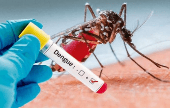 Se confirmó el primer caso de dengue en Baradero