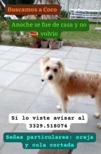 Buscan a «Coco»