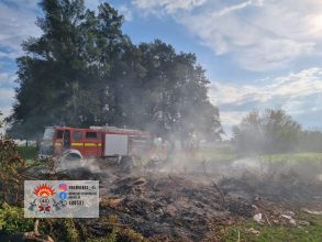 Incendio de pasto y ramas