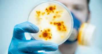 Récord de casos de meningitis en todo el país por la caída de las coberturas de vacunación