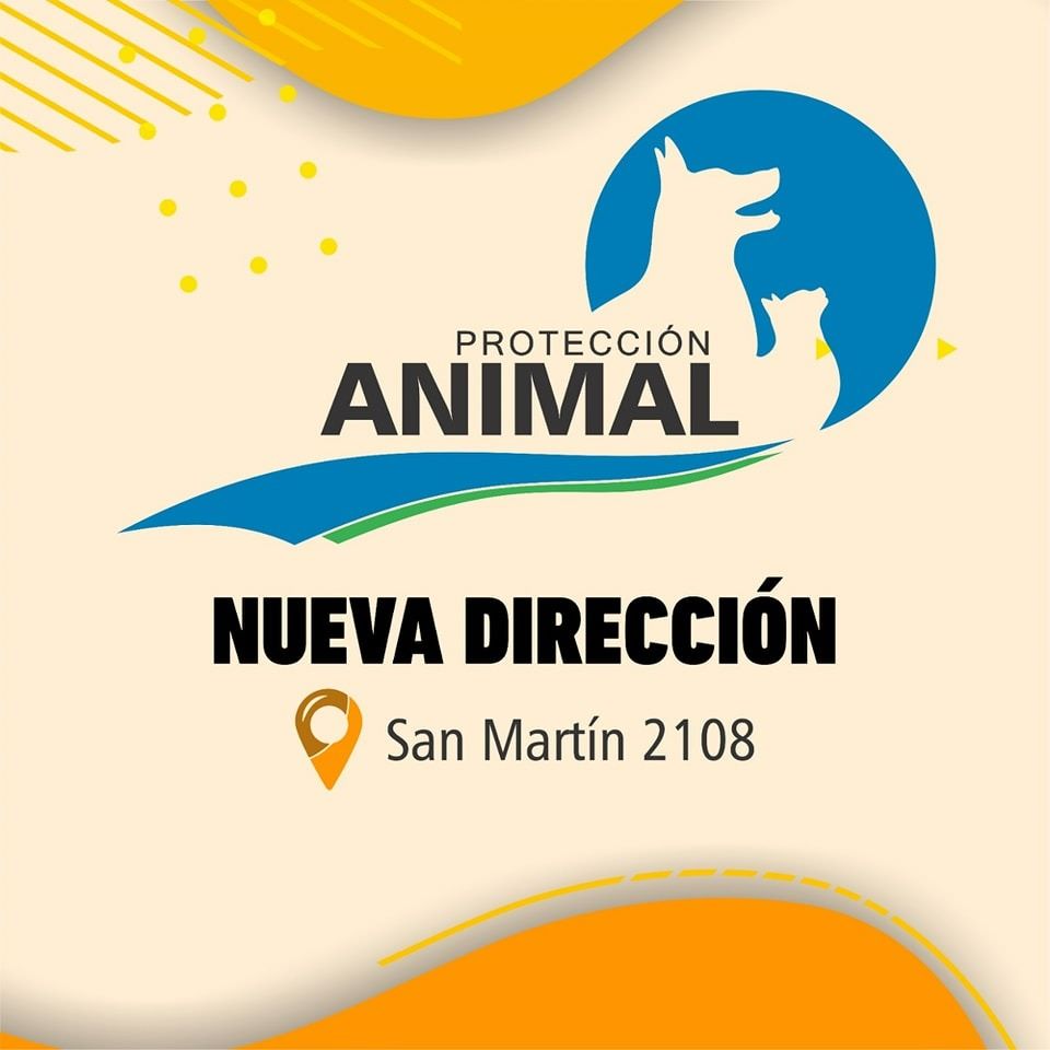 Nueva dirección para la Oficina de Protección de los Derechos de los Animales