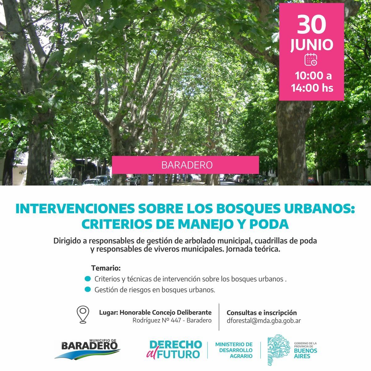 Capacitación sobre intervenciones sobre los bosques urbanos: criterios y manejos de poda