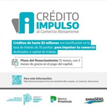 Programa Municipal Crecer Sano: Servicio de Puericultura y Piscología Perinatal en el Hospital Municipal