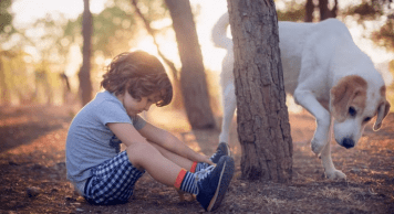 Día Mundial del Perro: cómo y por qué se convirtió en el mejor amigo del humano