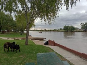 Altura del río Baradero