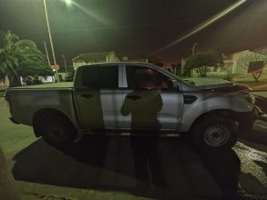 Una camioneta chocó a un caballo