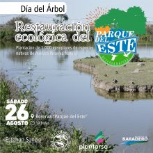 Día del Árbol: se plantarán mil ejemplares de especies nativas en la Reserva Natural Urbana “Parque del Este”