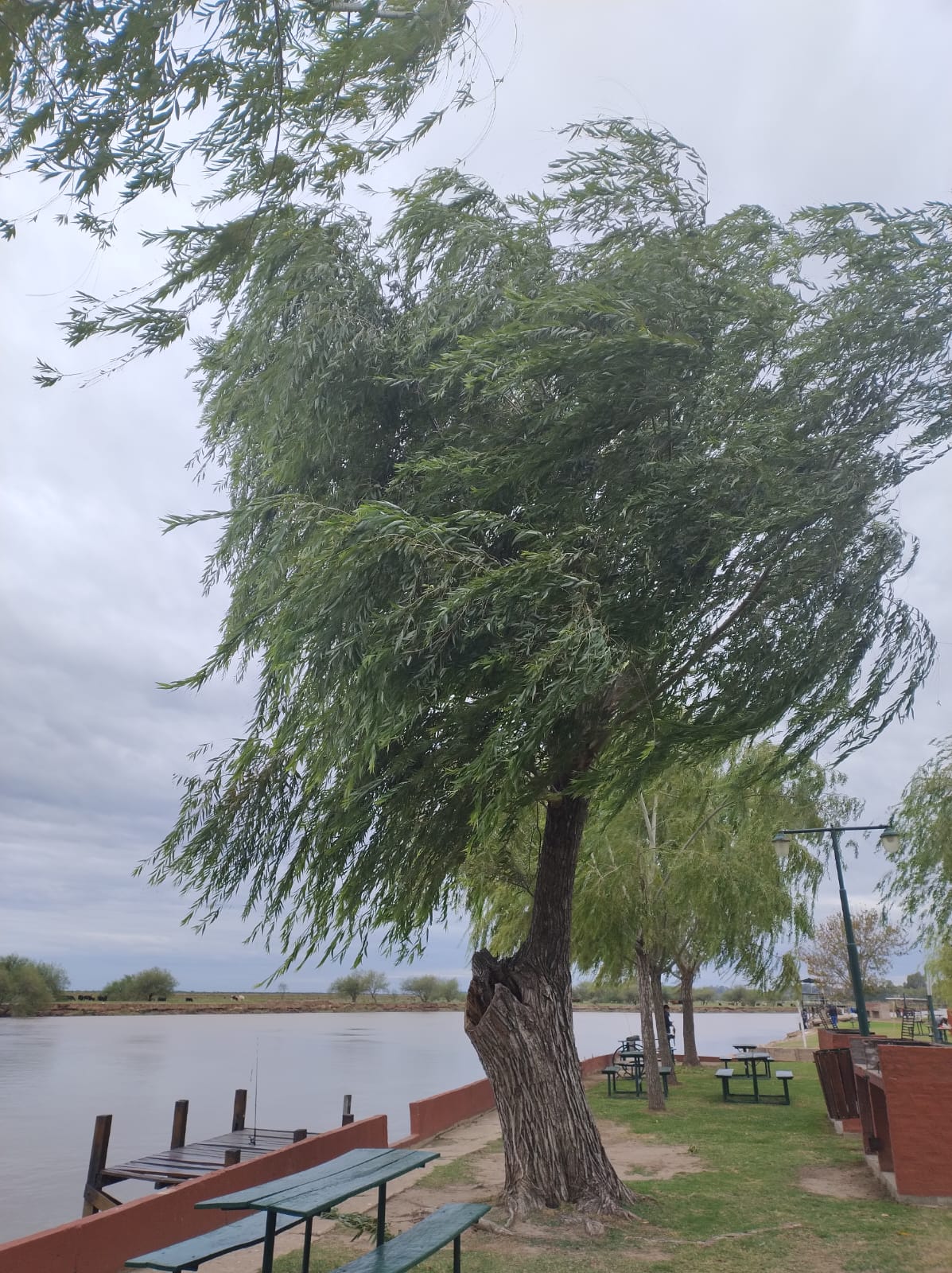Altura del río Baradero