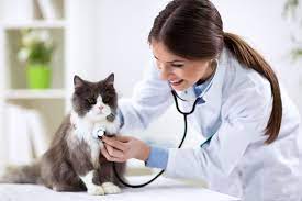 Día del Veterinario: cómo se originó esta profesión en Argentina y en el mundo