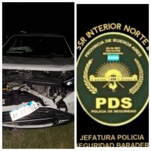 Accidente en la Ruta 9: un vehículo chocó a un ciervo