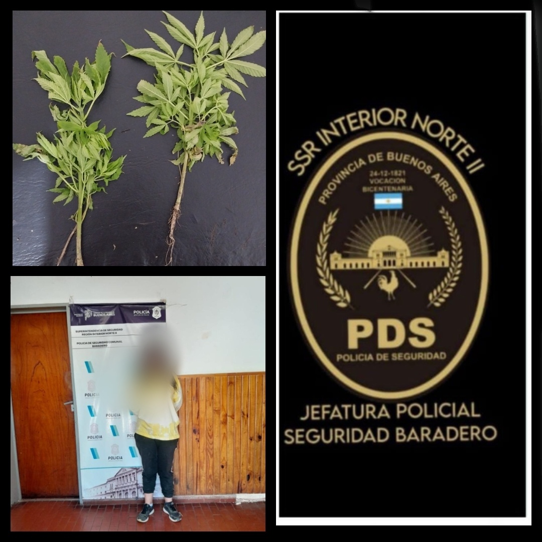 Allanamiento por robo y secuestro de droga