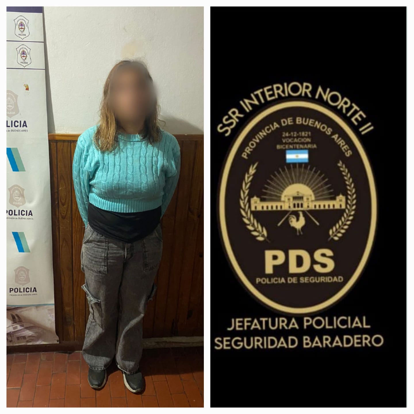 Aprehenden a una mujer por no cumplir con una orden preimetral