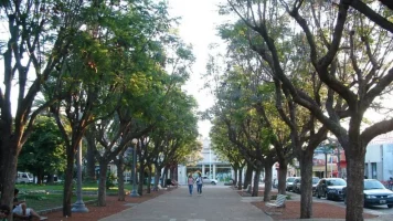 Nota de C5N: La escapada oculta a solo 150 km de Buenos Aires que es ideal para descansar