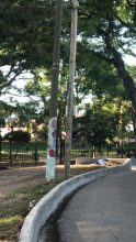 Accidente fatal frente al anfiteatro