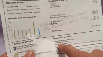 Ajuste de tarifas de luz y gas: el Gobierno decretó la emergencia energética