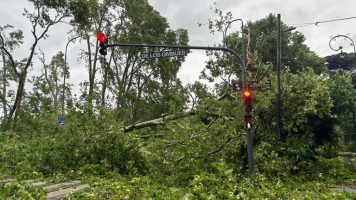 Inundaciones, destrozos y caída de árboles: lo que dejó la tormenta que azotó el AMBA